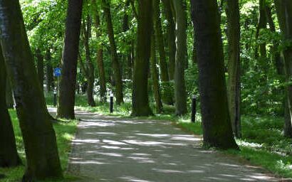 Strand in Kolobrzeg (Kolberg)