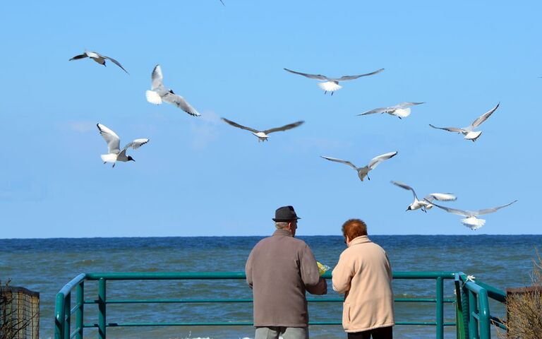 Endlich: Strand auch für Hunde. Foto: Kolberg-Café