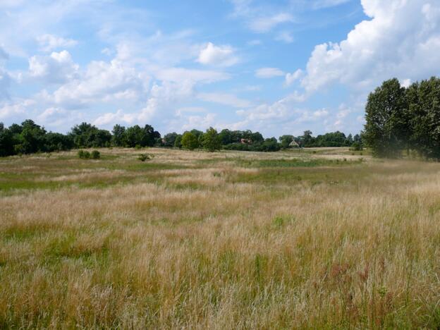 Eine schöne Wiese an einem Campingplatz in Polen. Foto: Kolberg-Café