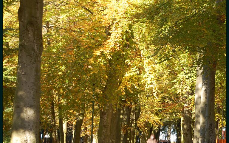 Herbst in Kolberg