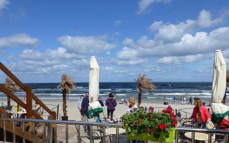 Palmen am Strand. Foto: Kolberg-Café