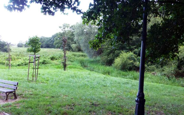 Spazierweg in einem Kolberger Park. Foto: Kolberg-Café