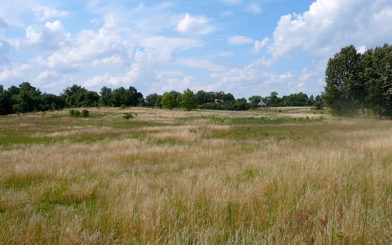 Eine schöne Wiese an einem Campingplatz in Polen. Foto: Kolberg-Café