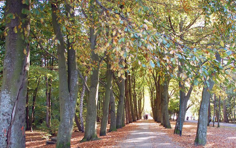 Laufen im Kolberger Kurpark