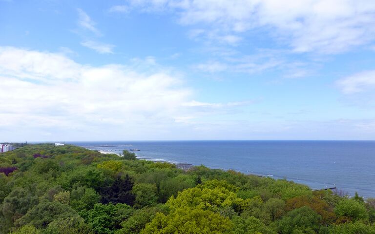 Strandwald und Meer in Kolobrzeg (Kolberg). Foto: Kolberg-Café