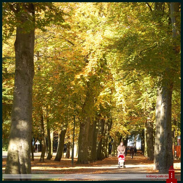 Herbst in Kolberg